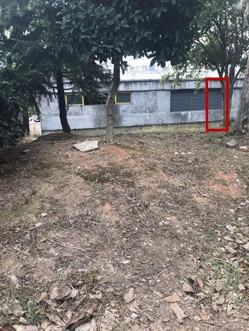 铅山女子爆料最新消息,揭秘事件背后惊人真相 第3张 铅山女子爆料最新消息,揭秘事件背后惊人真相 第3张