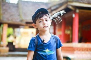 娱乐吃瓜张俪微博,娱乐圈幕后故事大揭秘